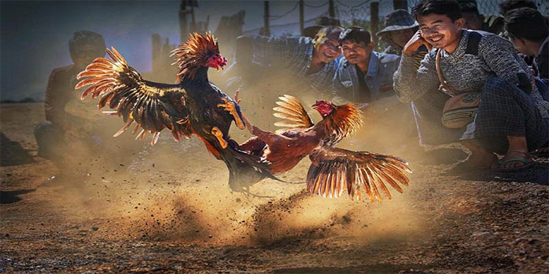 i8 game xổ số bữa nay