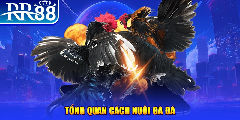 i8 game game nổ hũ rút tiền mặt là gì
