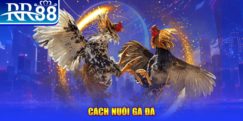 i8 game đăng nhập phỏm đổi thưởng