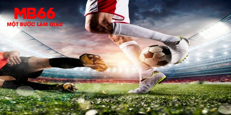 i8 game trực tiếp đá gà thomo