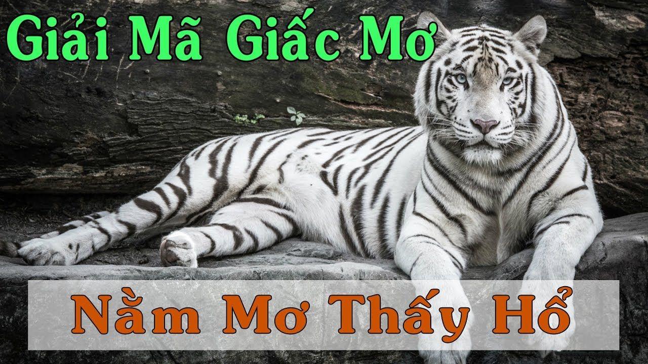 i8 game nổ hũ là game gì