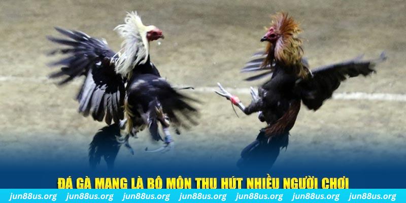 i8 game nổ hủ nghĩa là gì