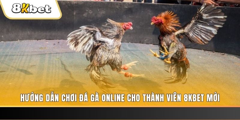 i8 game JILI Game Bài 3d