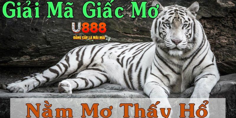 i8 game xổ số miền bắc xổ số miền bắc