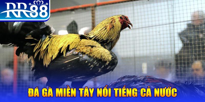 i8 game xổ số đại phát