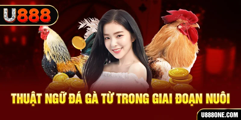 i8 game xổ số miền bắc 90 ngày