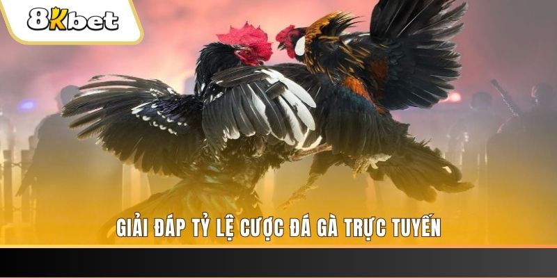 i8 game ga choi cau thanh