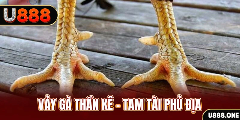 i8 game xổ số miền trung thứ hai hàng tuần
