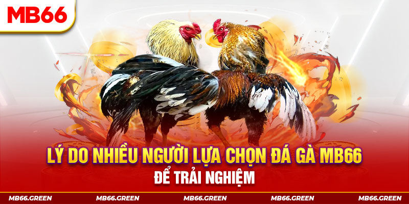 i8 game đăng nhập liêng trực tiếp