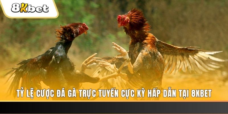 i8 game đăng nhập mậu binh online