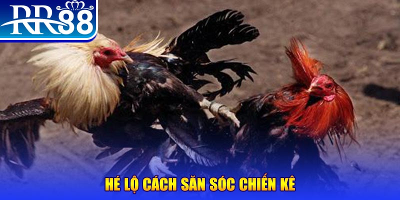 i8 game xổ số miền trung thứ tư