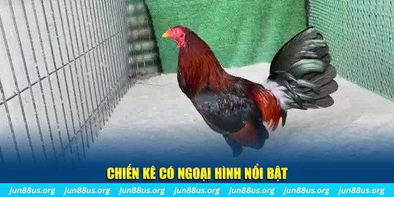 i8 game game bắn cá