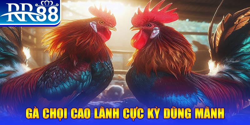 i8 game HB Điện Tử